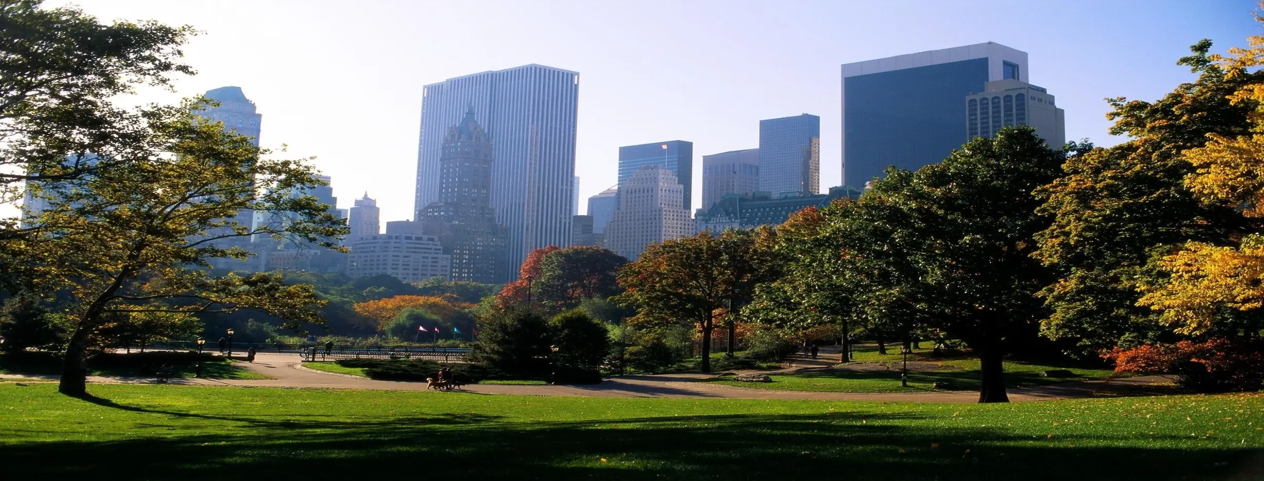Image for City Parks